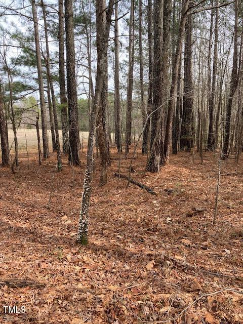 0 Winston Road Creedmoor, NC 27522 - Photo 19 of 21 IMG_9081