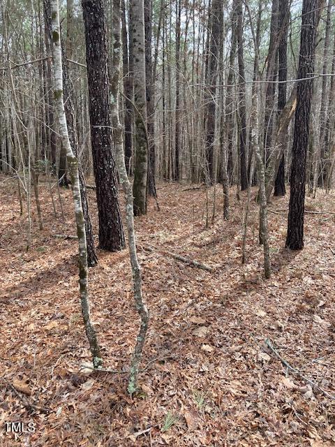 0 Winston Road Creedmoor, NC 27522 - Photo 20 of 21 IMG_9082