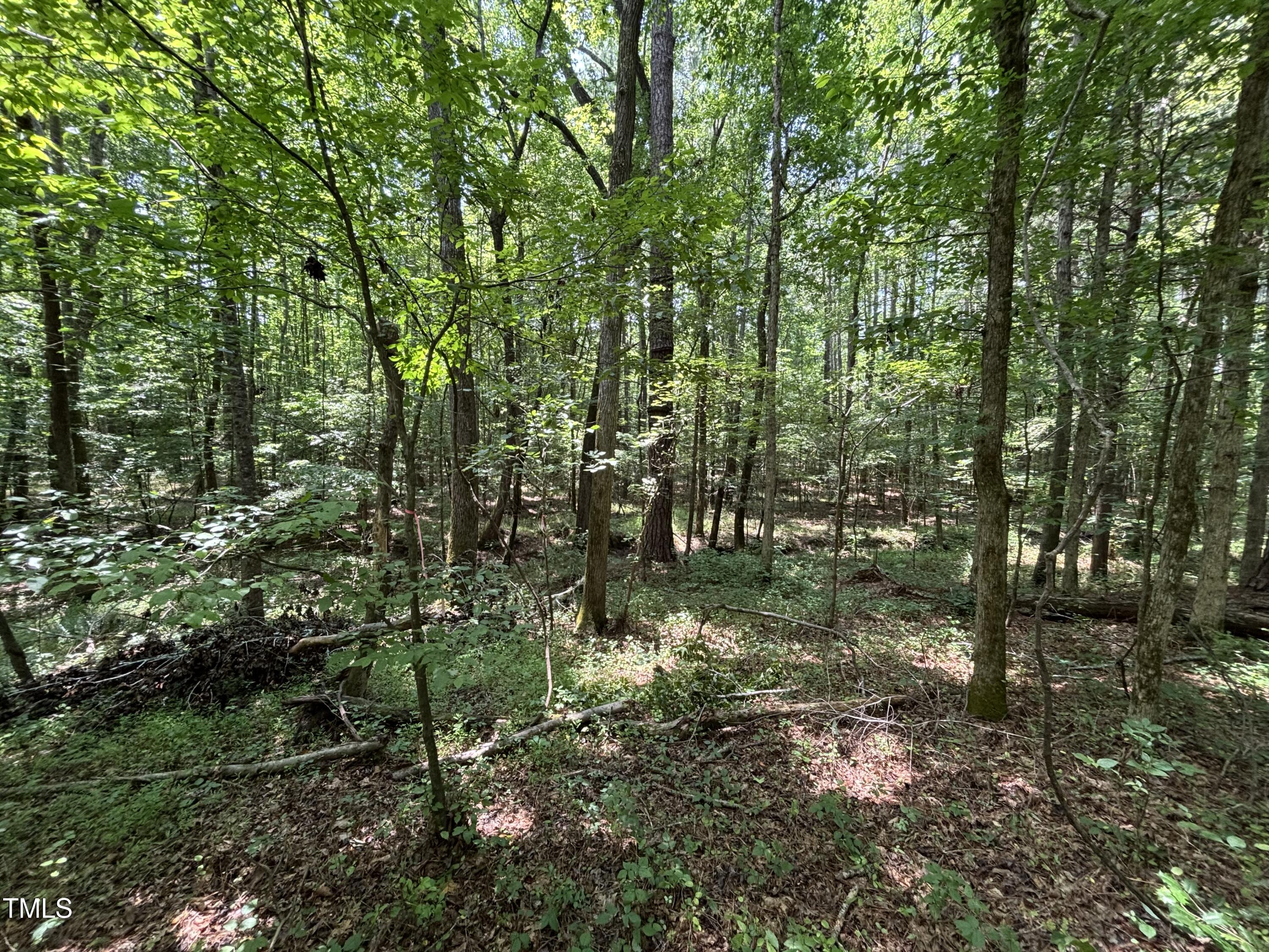 0 Winston Road Creedmoor, NC 27522 - Photo 6 of 21 IMG_8601
