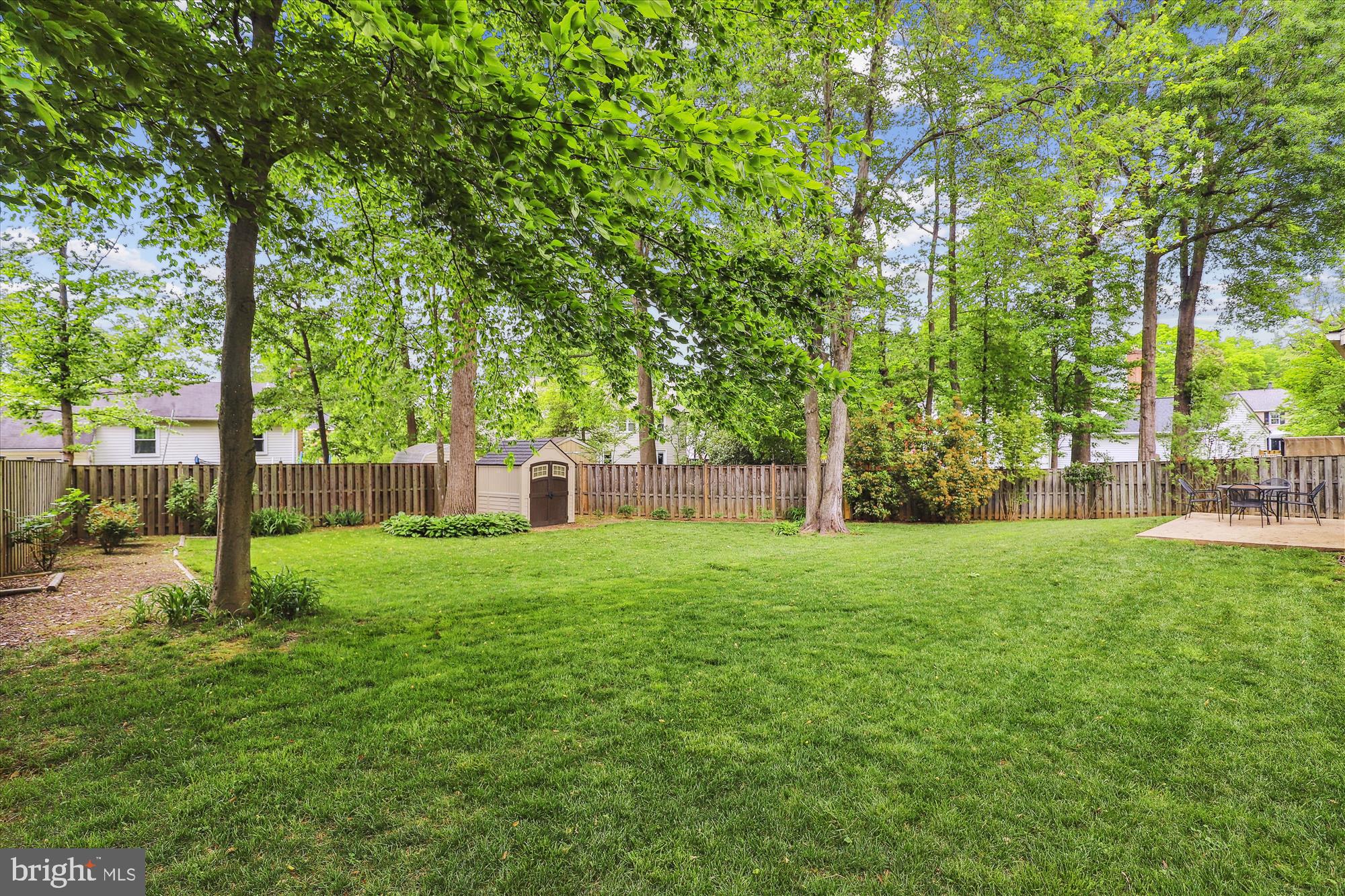 8322 Riverside Road Alexandria, VA 22308 - Photo 32 of 38 a view of a yard with a tree
