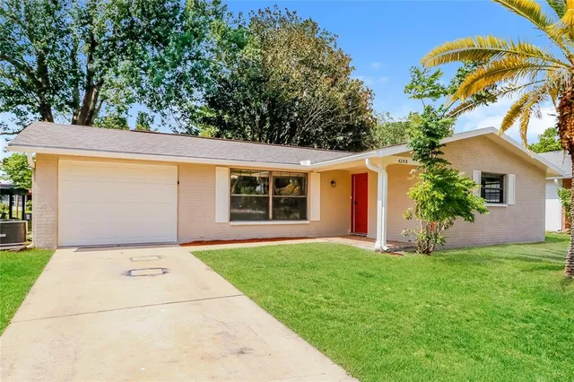 a view of a backyard with a garden and plants