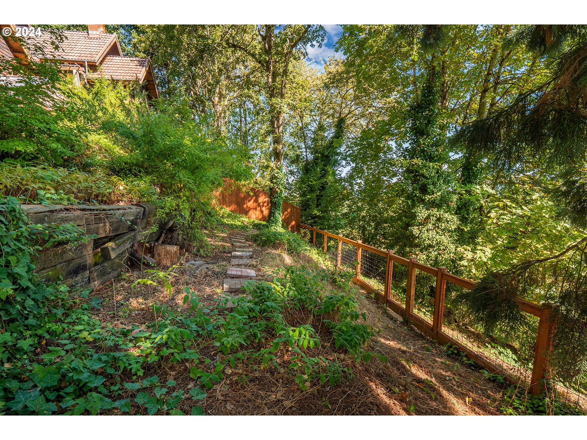 504 Spyglass Drive Eugene, OR 97401 - Photo 41 of 48 a view of a yard with plants and large trees