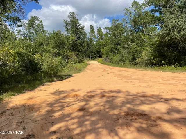 $150,000 | 2355 Momence Court, Alford, FL 32420