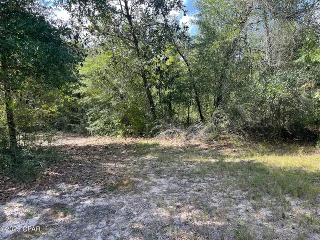 $150,000 | 2355 Momence Court, Alford, FL 32420