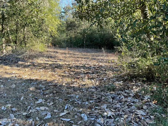 $150,000 | 2355 Momence Court, Alford, FL 32420