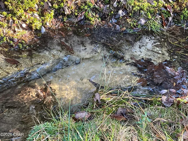 $150,000 | 2355 Momence Court, Alford, FL 32420