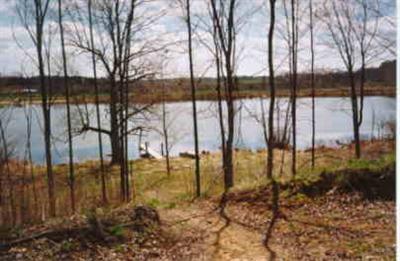 Staines Road Southeast, Unit PAR A Stanton, MI 48888 - Photo 1 of 1 Primary Photo