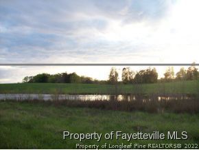 222 Daurity Road Goldston, NC 27252 - Photo 11 of 12 Gallery Image 11