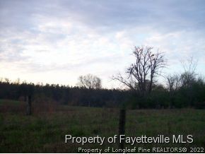 222 Daurity Road Goldston, NC 27252 - Photo 3 of 12 Gallery Image 3