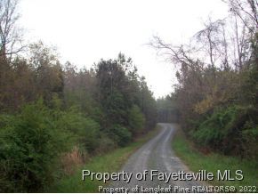 222 Daurity Road Goldston, NC 27252 - Photo 6 of 12 Gallery Image 6