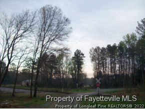 222 Daurity Road Goldston, NC 27252 - Photo 7 of 12 Gallery Image 7
