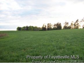 222 Daurity Road Goldston, NC 27252 - Photo 10 of 12 Gallery Image 10