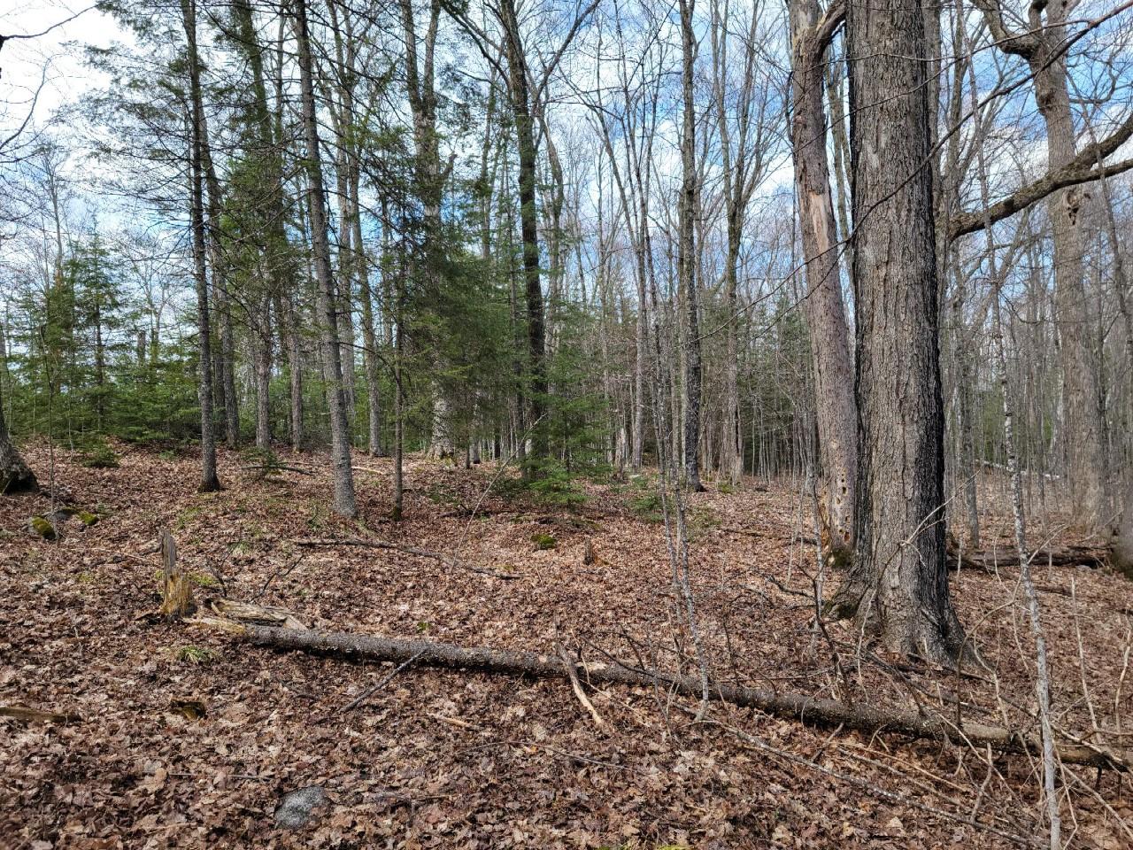 Lot 1 Musky Point Road Mercer, WI 54547 - Photo 26 of 27 Gallery Image 26