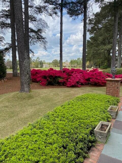 134 Foxhound Run Road Aiken, SC 29803 - Photo 5 of 48 Gallery Image 5