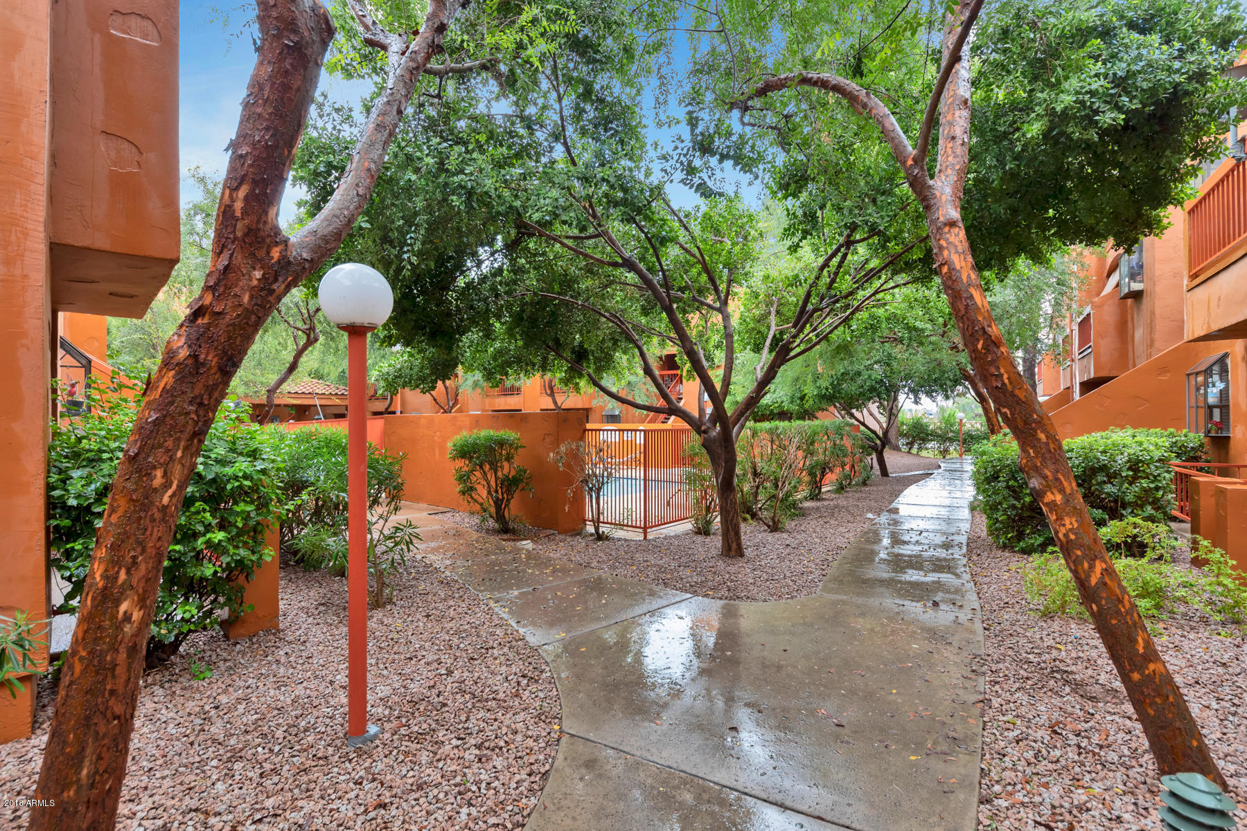 747 South Ext Road, Unit 201 Mesa, AZ 85210 - Photo 15 of 16 _73A8069