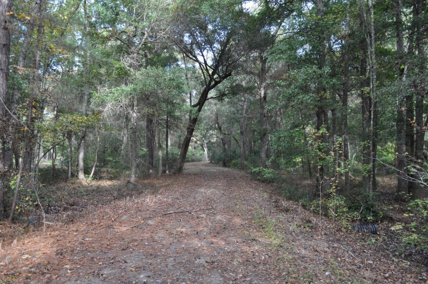 18 Black Swamp Road Johns Island, SC 29455 - Photo 1 of 15 Private driveway