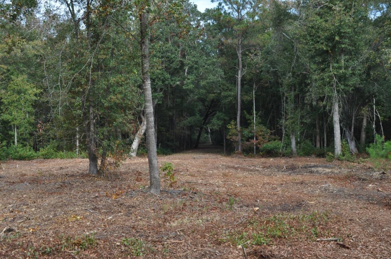 18 Black Swamp Road Johns Island, SC 29455 - Photo 2 of 15 Further down the driveway