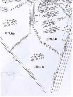 18 Black Swamp Road Johns Island, SC 29455 - Photo 14 of 15 Plat