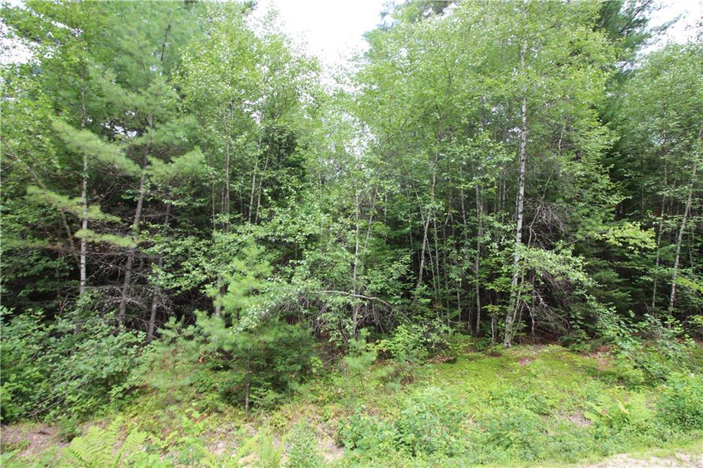 Tbd Westwood Road Bethel, ME 04217 - Photo 10 of 15 Photo