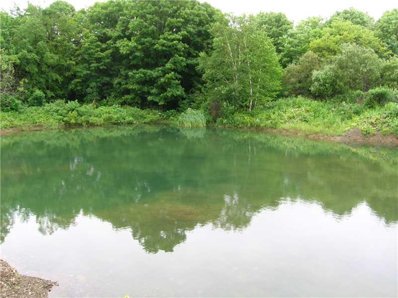 864 New Dunn Town Road Washburn, ME 04786 - Photo 14 of 14 Other. pond