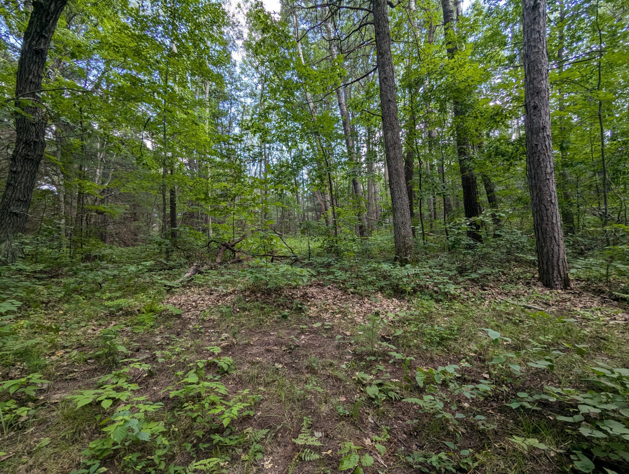 Lot 3 Fosmo Webster, WI 54893 - Photo 1 of 12 Gallery Image 1