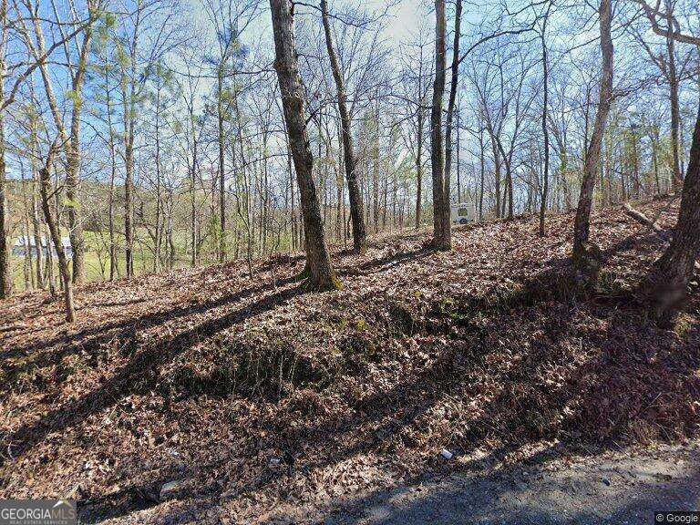 951 Harley Trail Ball Ground, GA 30107 - Photo 1 of 1 Gallery Image 1