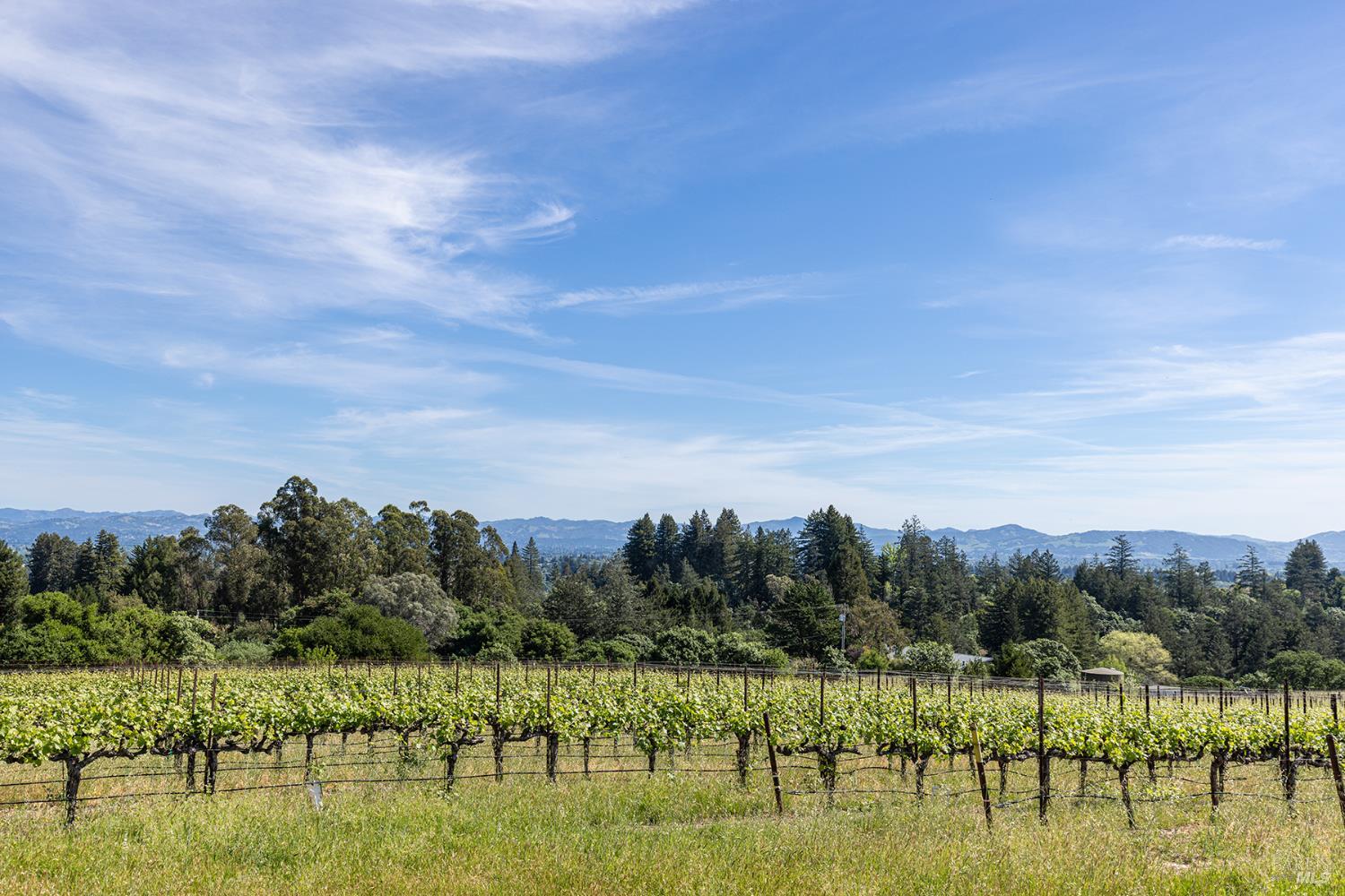 1365 Grandview Road Sebastopol, CA 95472 - Photo 34 of 74