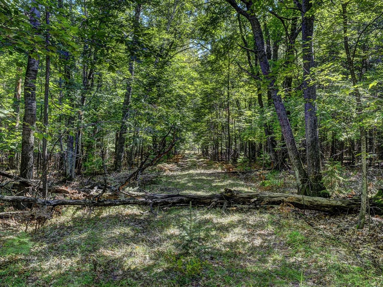 1200 Tyson Road Eagle River, WI 54521 - Photo 20 of 29 Gallery Image 20