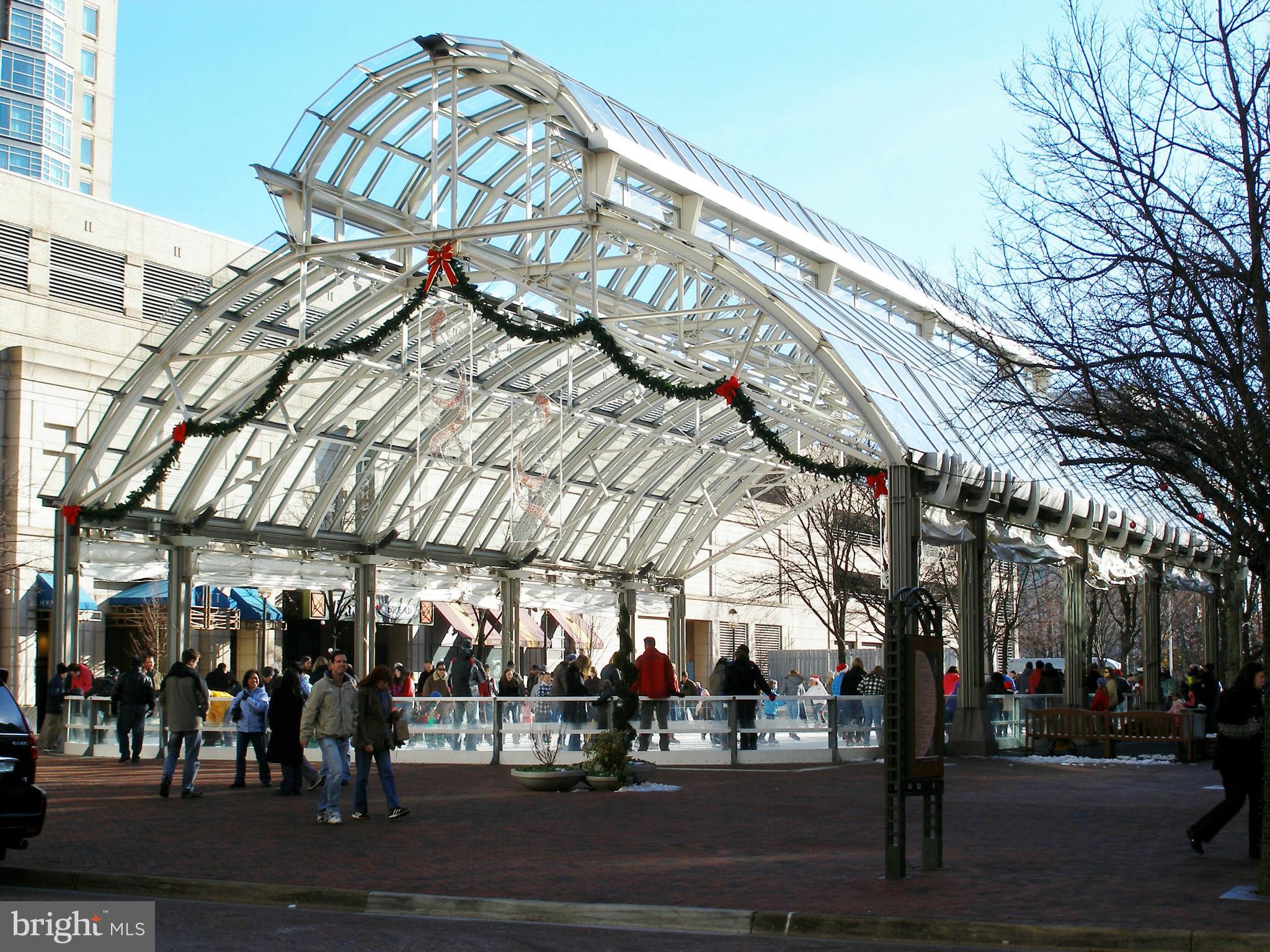 11990 Market Street, Unit 1002 Reston, VA 20190 - Photo 29 of 30 Reston Town Center Skating Rink