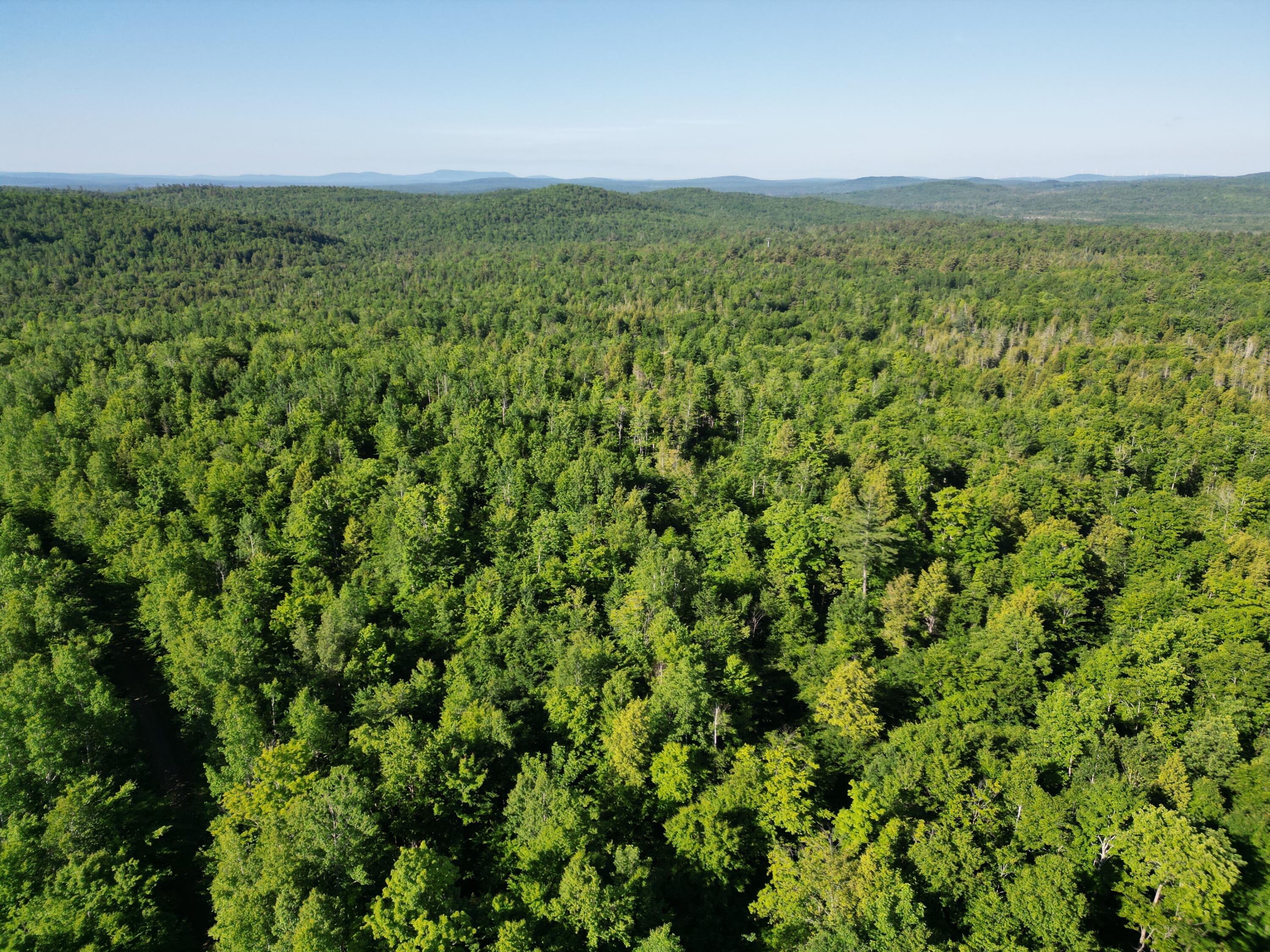 Lot 2 Bear Lane Springfield, ME 04487 - Photo 15 of 16 DJI_0737