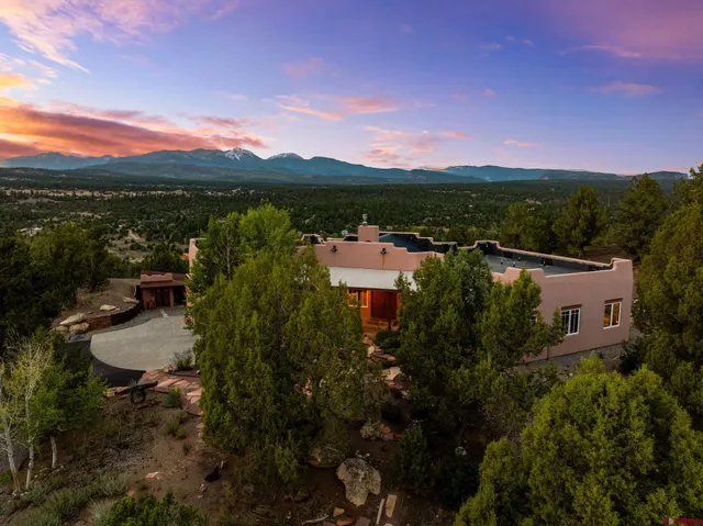 a view of a backyard with plants and a patio