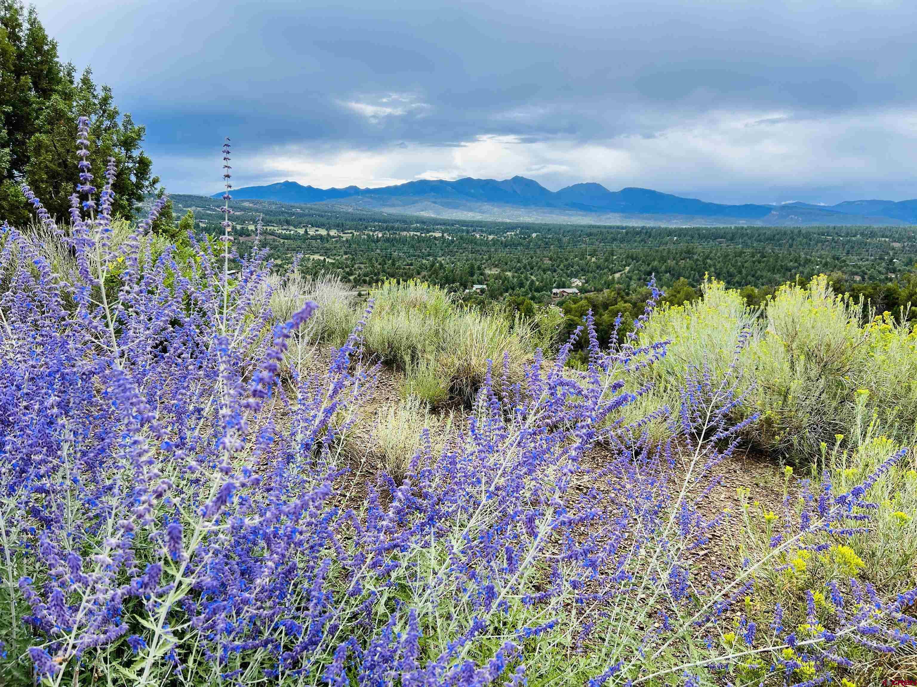 191 Deer Valley Road Hesperus, CO 81326 - Photo 6 of 45 a view of lake with mountain in the background