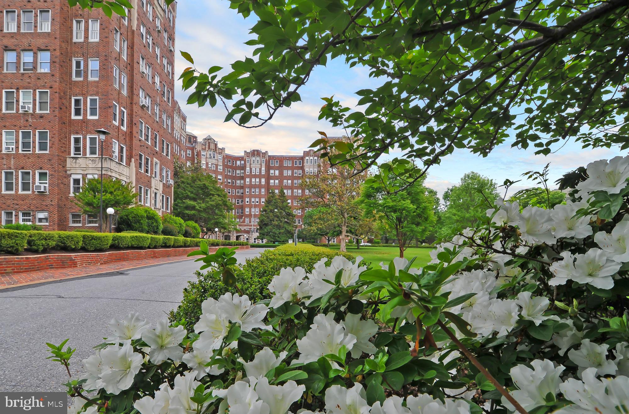 3601 Connecticut Avenue Northwest, Unit 409 Washington, DC 20008 - Photo 43 of 44 a view of a garden with a building