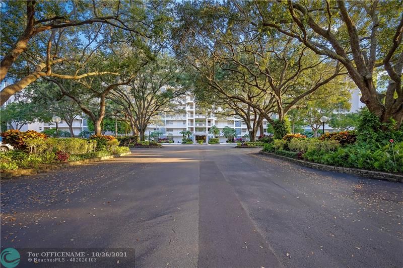 3520 Oaks Way, Unit 607 Pompano Beach, FL 33069 - Photo 3 of 31 a view of road with large trees
