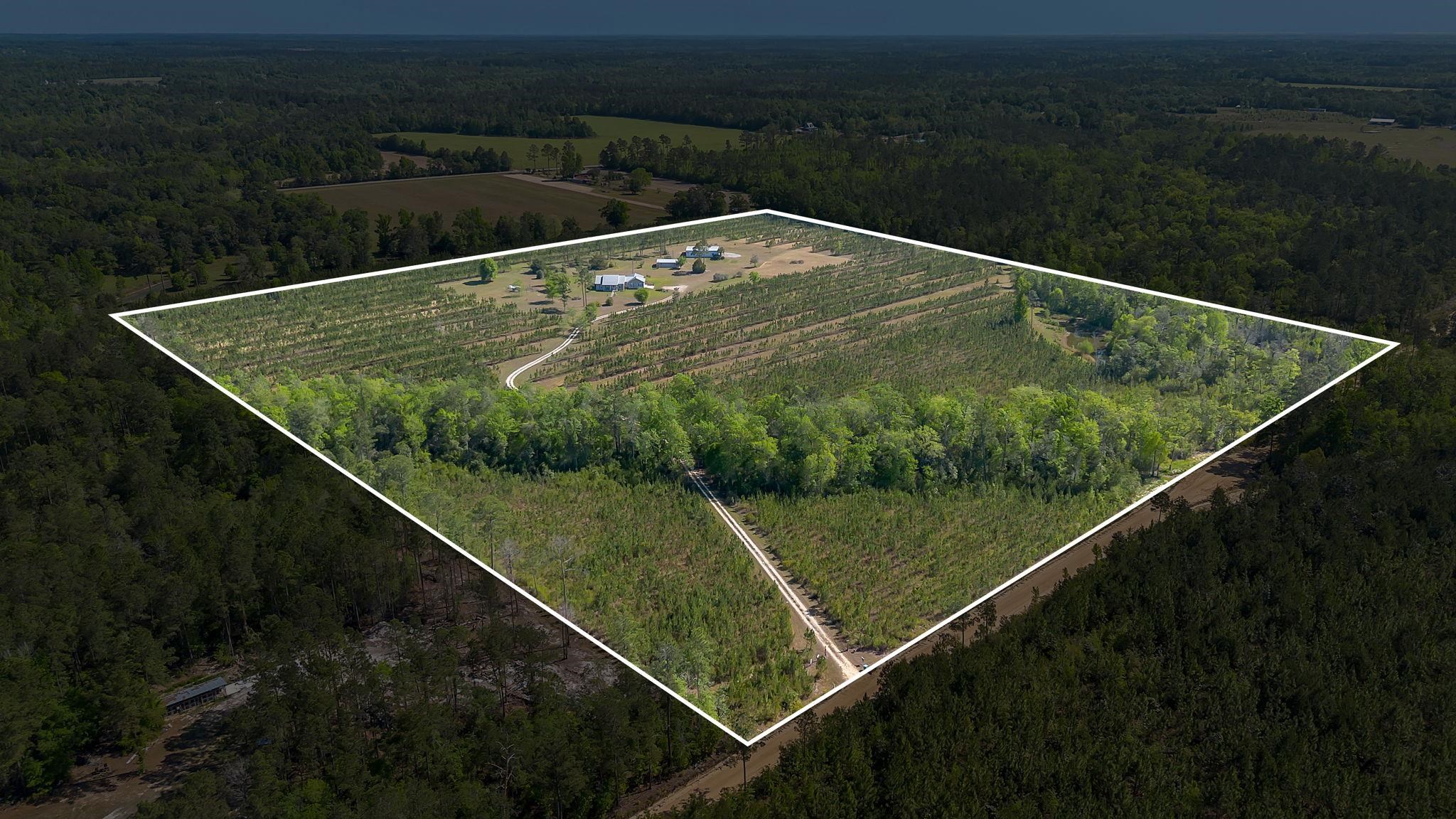 505 Goodson Road Quincy, FL 32351 - Photo 2 of 46