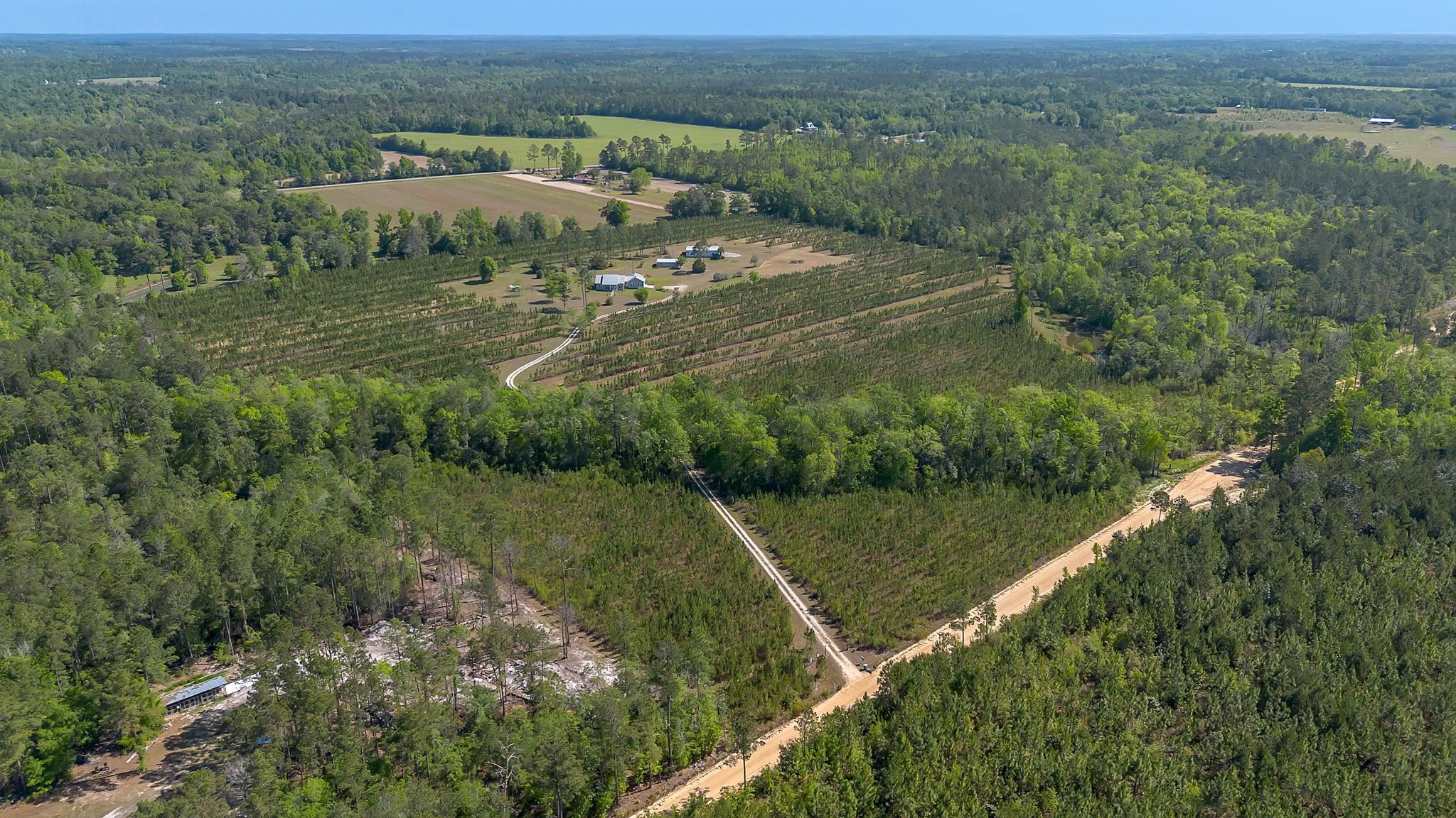 505 Goodson Road Quincy, FL 32351 - Photo 39 of 46