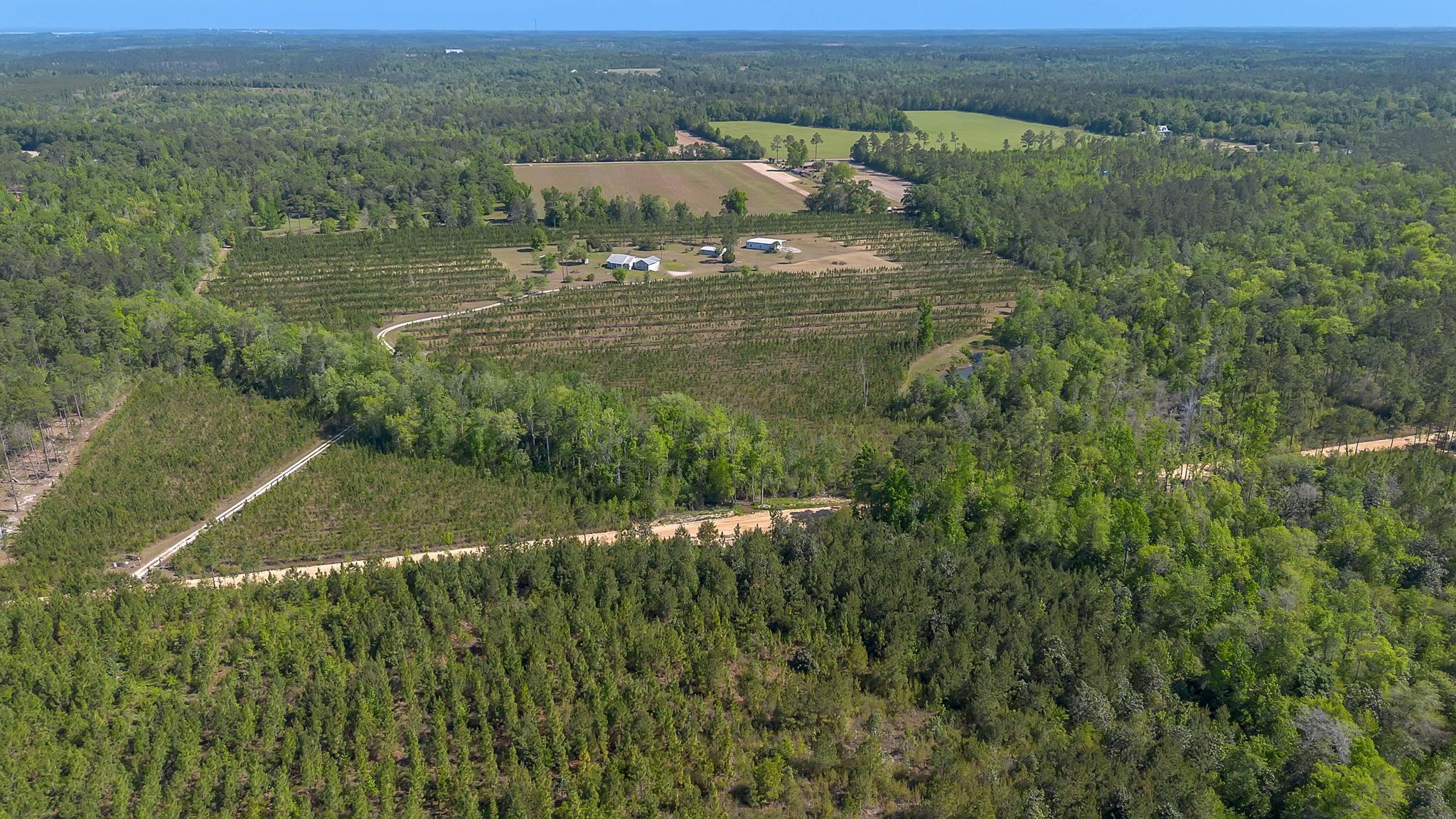 505 Goodson Road Quincy, FL 32351 - Photo 40 of 46