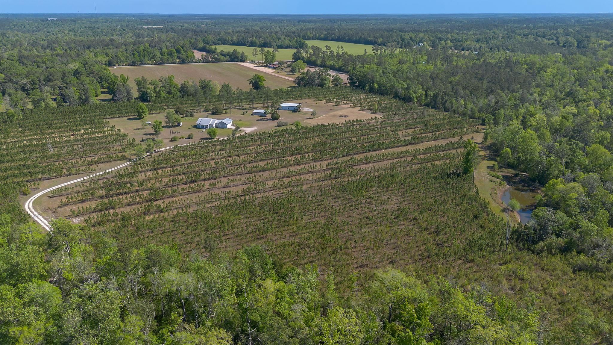 505 Goodson Road Quincy, FL 32351 - Photo 41 of 46