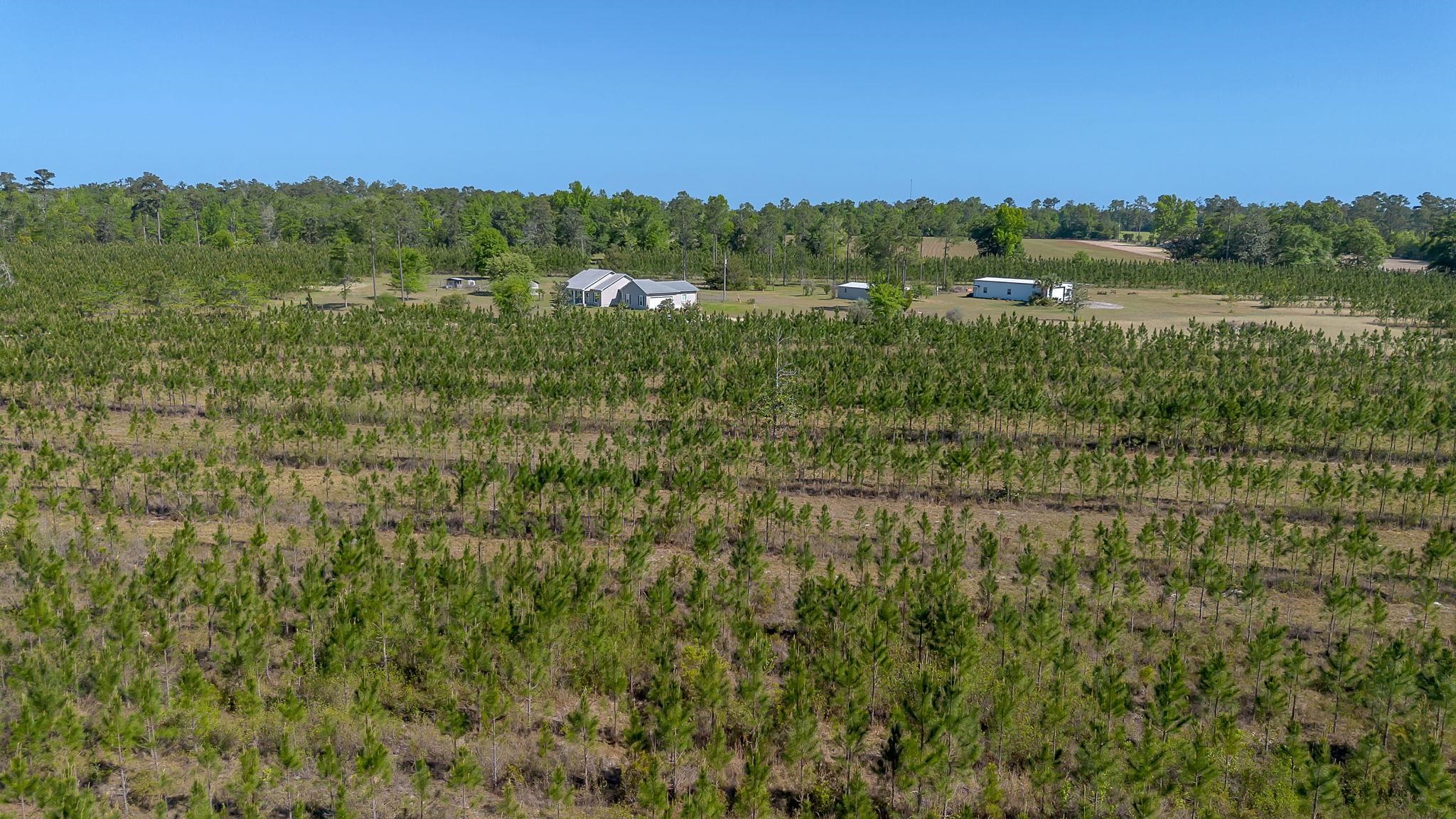 505 Goodson Road Quincy, FL 32351 - Photo 42 of 46