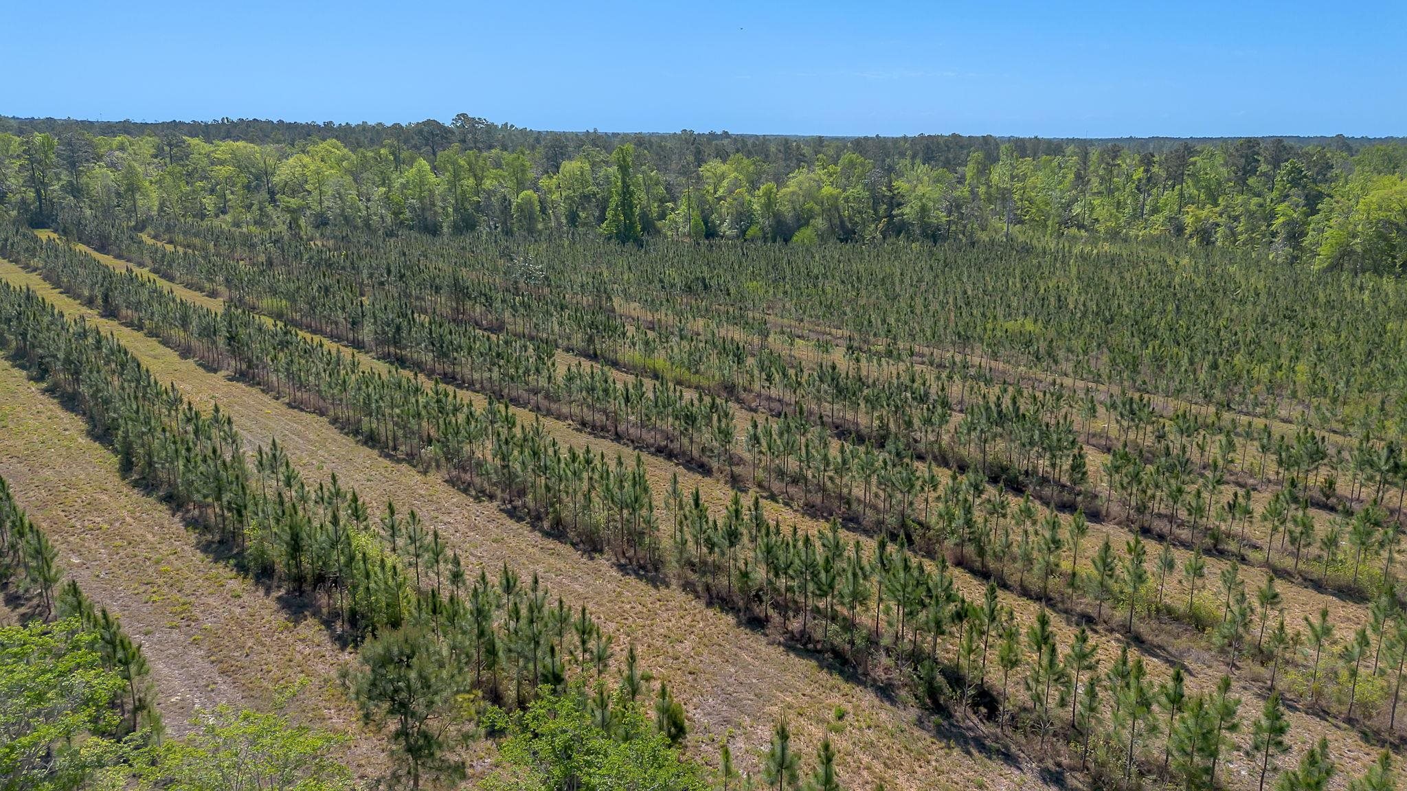 505 Goodson Road Quincy, FL 32351 - Photo 43 of 46