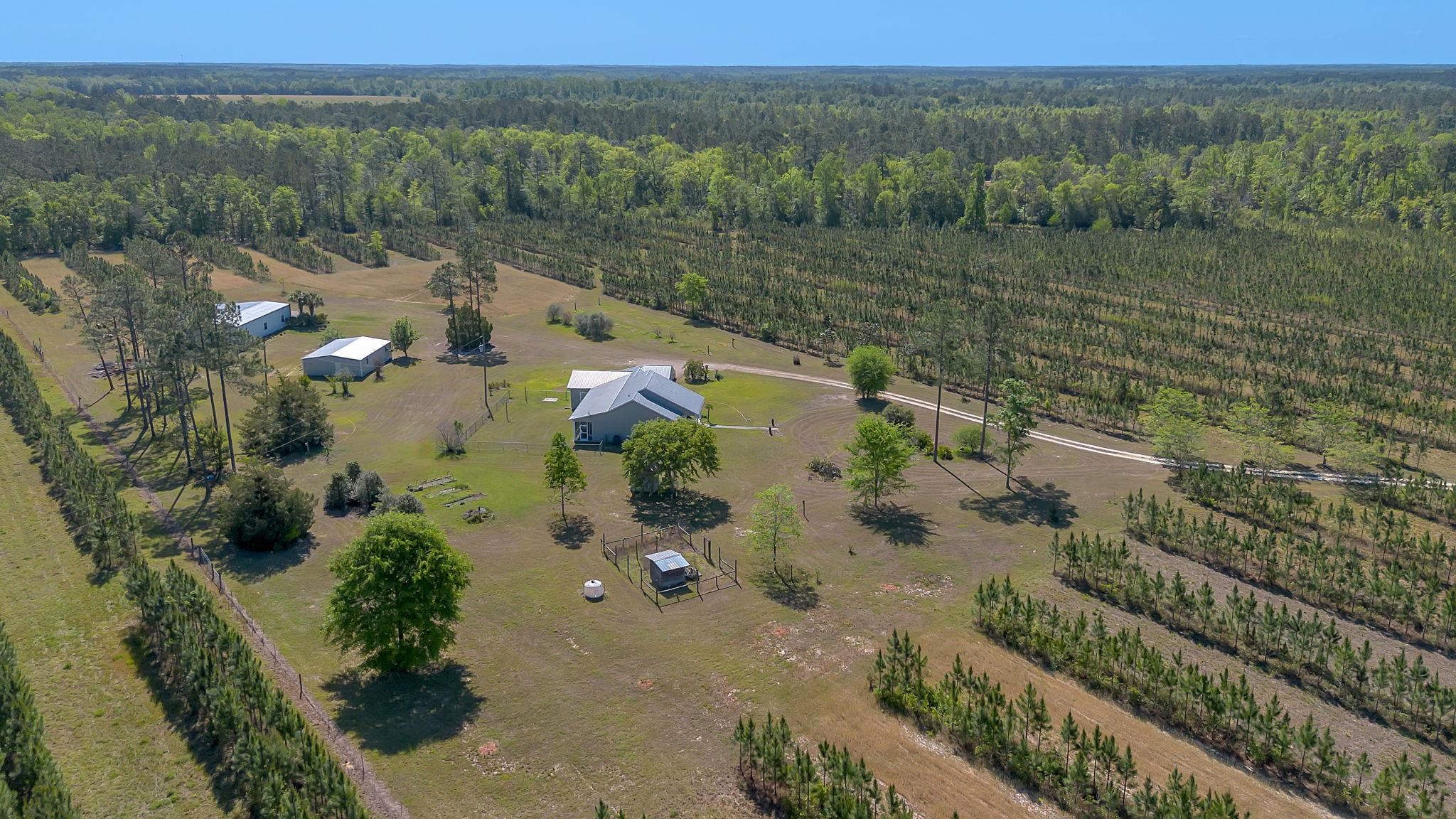 505 Goodson Road Quincy, FL 32351 - Photo 44 of 46