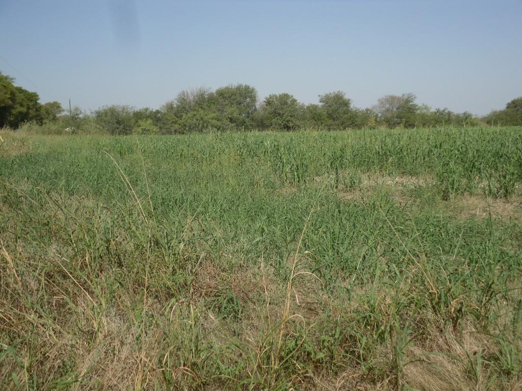 103 Hcr 3361 Hubbard, TX 76648 - Photo 13 of 19