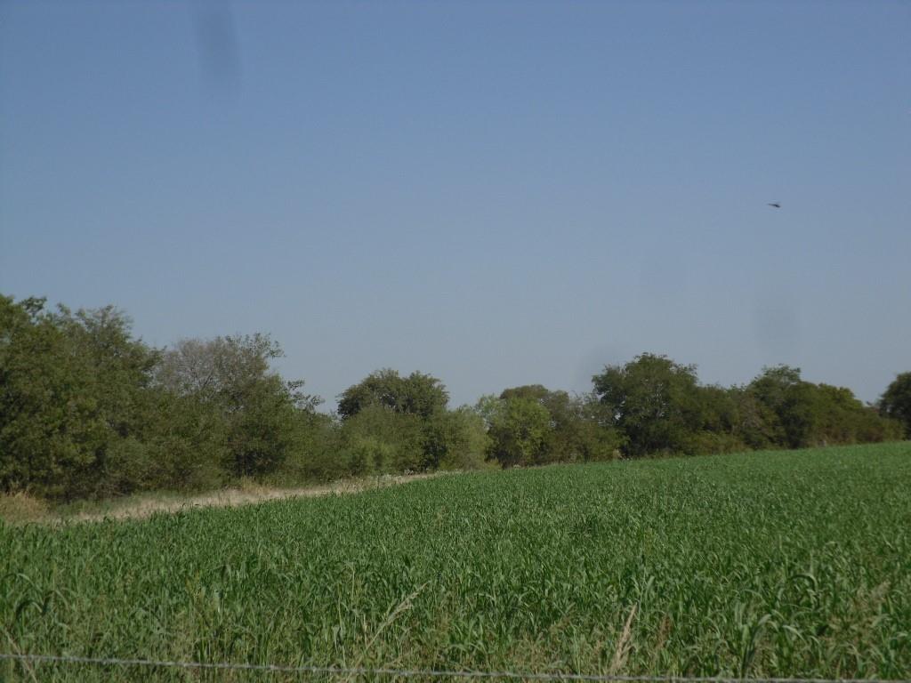 103 Hcr 3361 Hubbard, TX 76648 - Photo 15 of 19