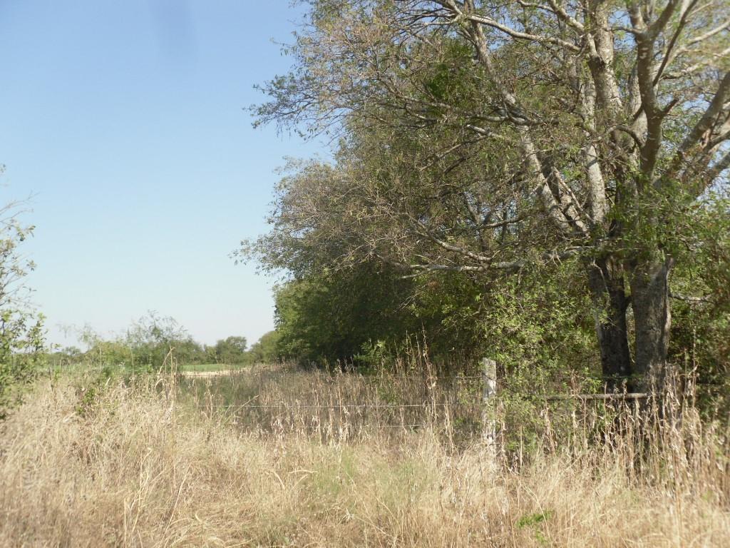 103 Hcr 3361 Hubbard, TX 76648 - Photo 16 of 19