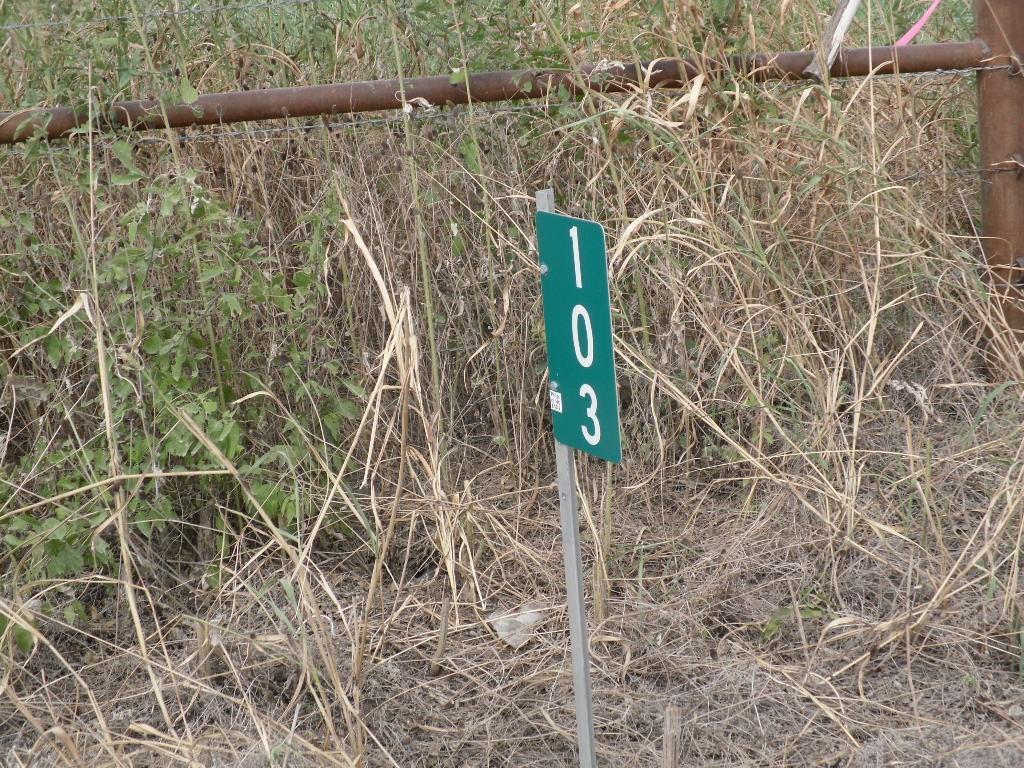 103 Hcr 3361 Hubbard, TX 76648 - Photo 6 of 19