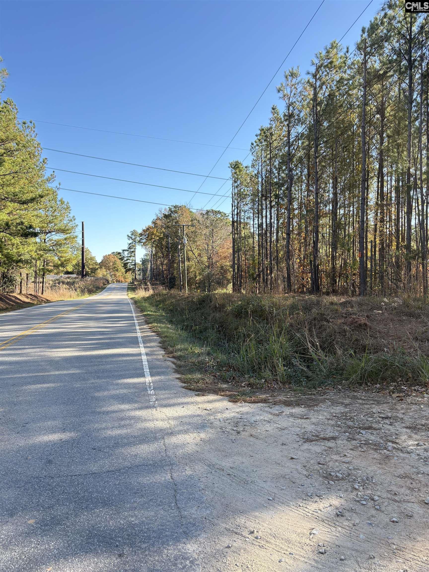 1236 Crane Church Road Columbia, SC 29203 - Photo 2 of 5