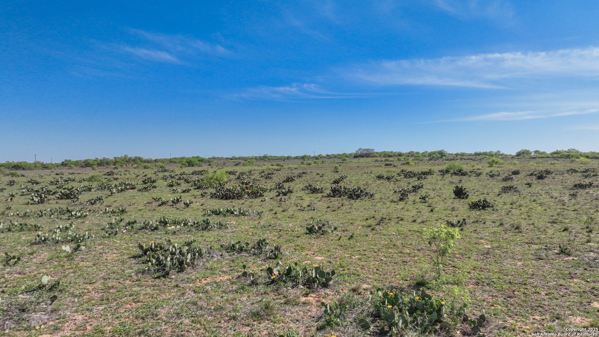 2004 A Cr Pearsall, TX 78061 - Photo 6 of 12 a view of a field with trees in the background