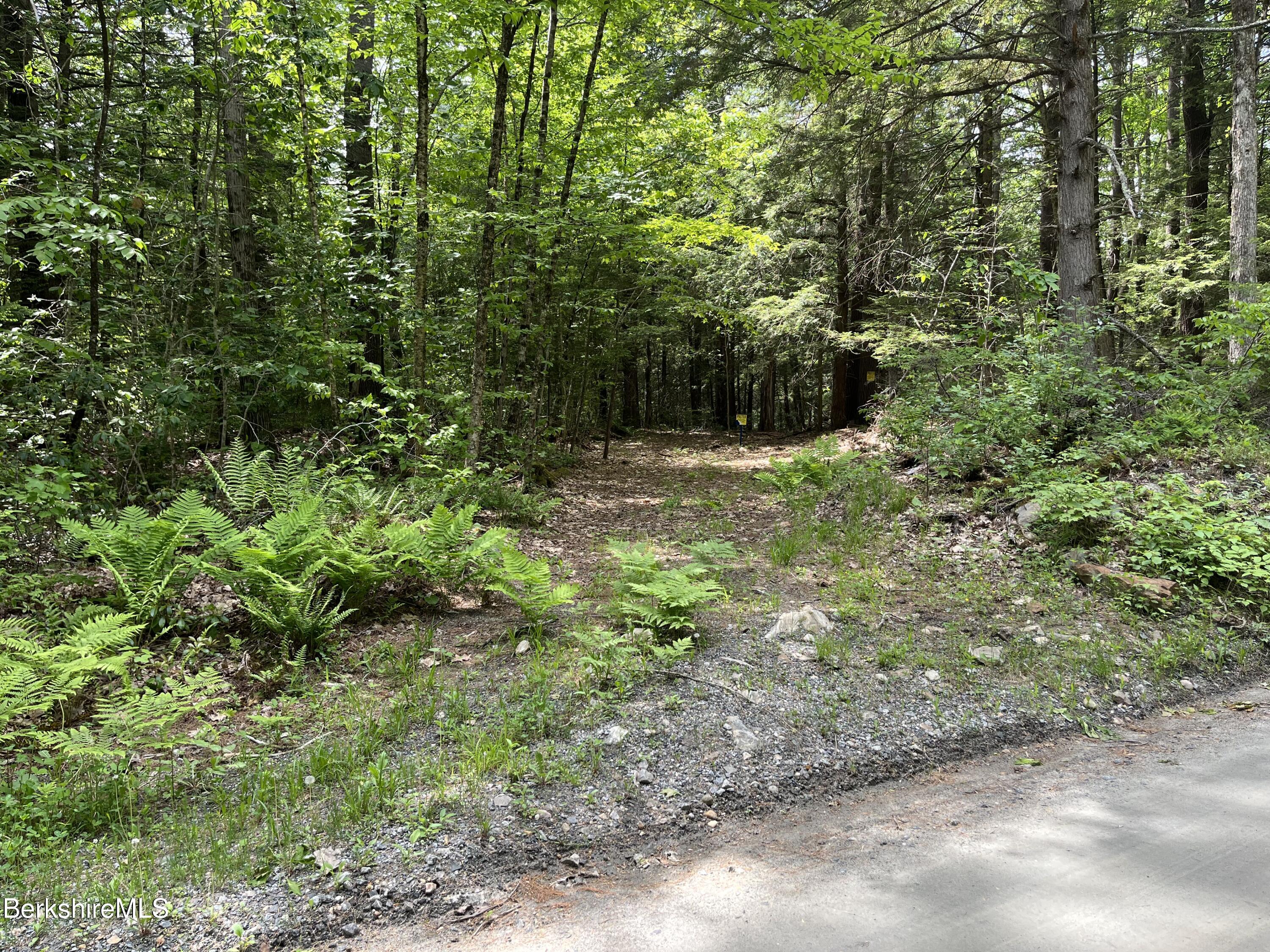 Lot 84 Churchill Road East Otis, MA 01029 - Photo 5 of 18 L 84 B