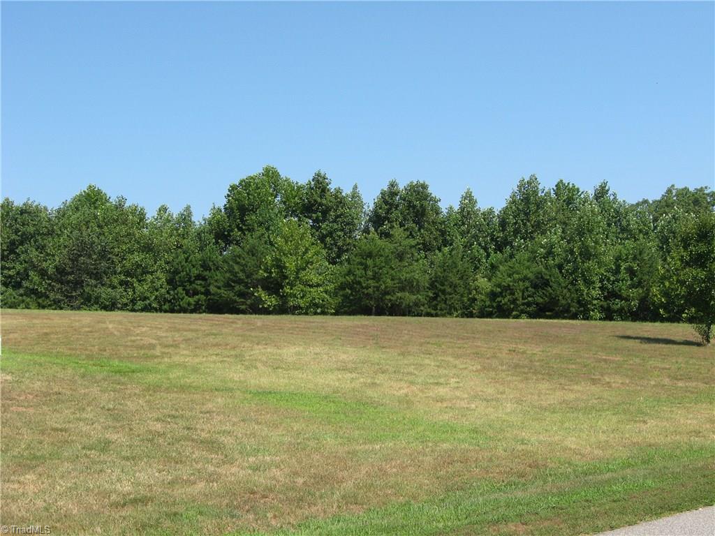 6960 Rangecrest Road Belews Creek, NC 27009 - Photo 21 of 26 From the road in front of the house . . this is your view to the right of the house.