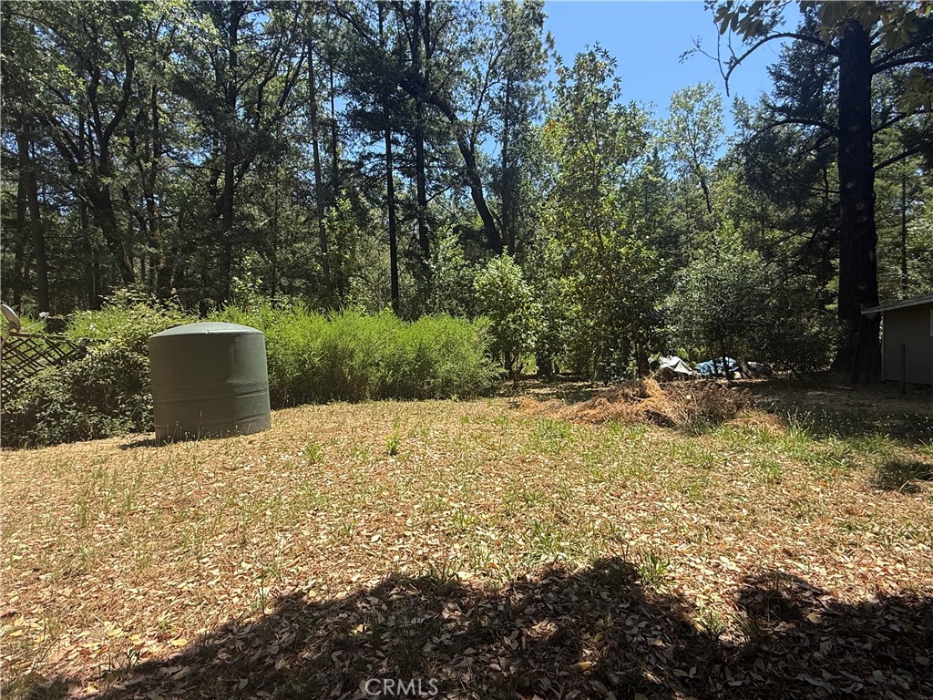 22830 Shady Grove Road Middletown, CA 95461 - Photo 12 of 17